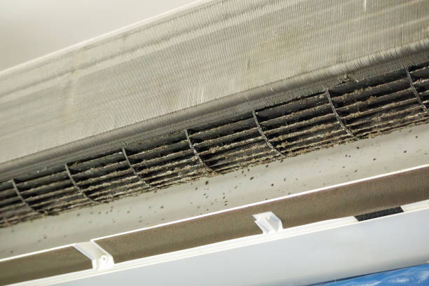 Best Air Duct Cleaning Company Near Me  in Woodworth, OH